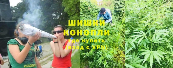 ПСИЛОЦИБИНОВЫЕ ГРИБЫ Баксан