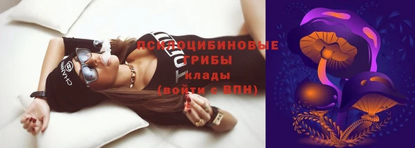 соль ск Балахна