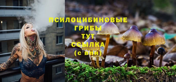 соль ск Балахна