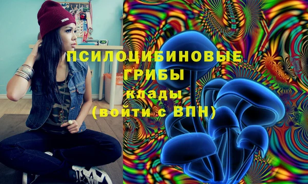 ПСИЛОЦИБИНОВЫЕ ГРИБЫ Баксан