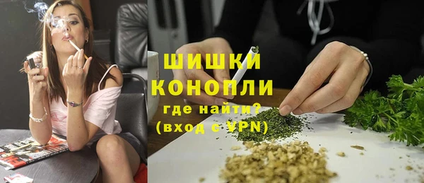 ПСИЛОЦИБИНОВЫЕ ГРИБЫ Баксан