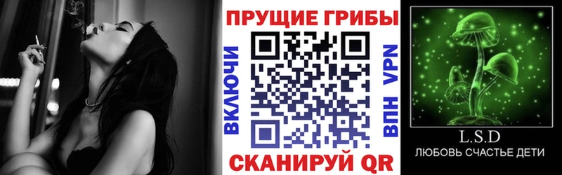 Псилоцибиновые грибы прущие грибы  Купить закладки  Городовиковск 