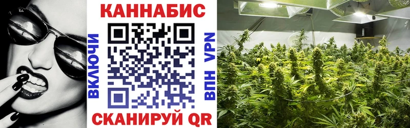 Конопля Bruce Banner  Купить закладки  Городовиковск 